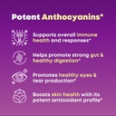 organic-super-maqui-berry-capsules-super-3.jpg
