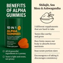 alpha-gummies-10-in-1-for-men-4000mg-him-5.jpg