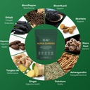 10-in-1-alpha-shilajit-gummies-with-ashw-3.jpg