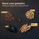 shilajit-gummies-alpha-gummies-for-men-l-3.jpg
