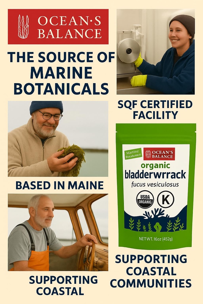 ocean-s-balance-clean-organic-bladderwra-6.jpg