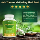 moringa-capsules-800mg-moringa-oleifera--6.jpg