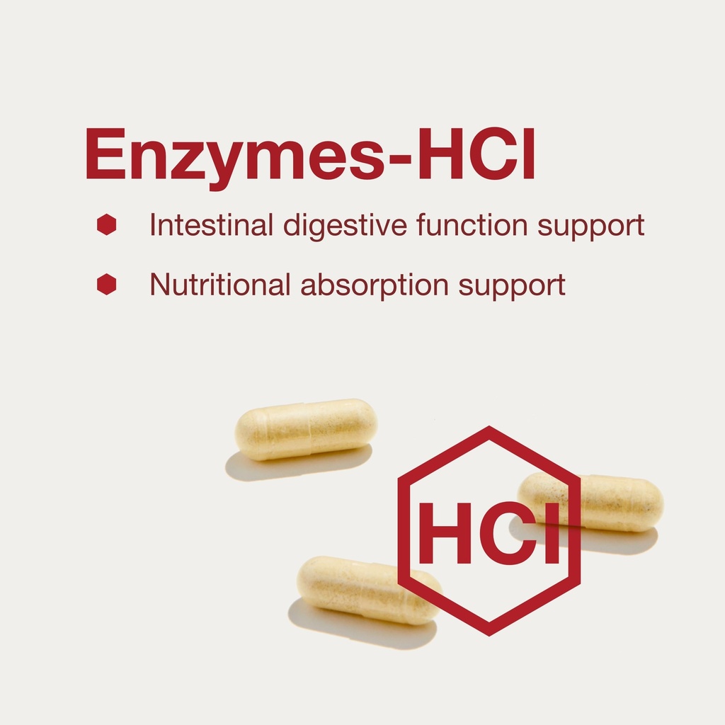 protocol-for-life-balance-enzymes-hcl-di-4.jpg