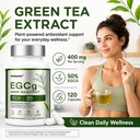 egcg-green-tea-extract-supplements-50-eg-2.jpg