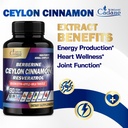 cadane-ceylon-cinnamon-berberine-quercet-4.jpg
