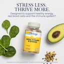 solaray-mega-vitamin-b-stress-timed-rele-3.jpg