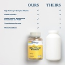 solaray-mega-vitamin-b-stress-timed-rele-5.jpg