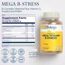 solaray-mega-vitamin-b-stress-timed-rele-2.jpg