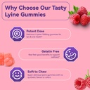 l-lysine-1000mg-gummies-chewable-lysine--4.jpg