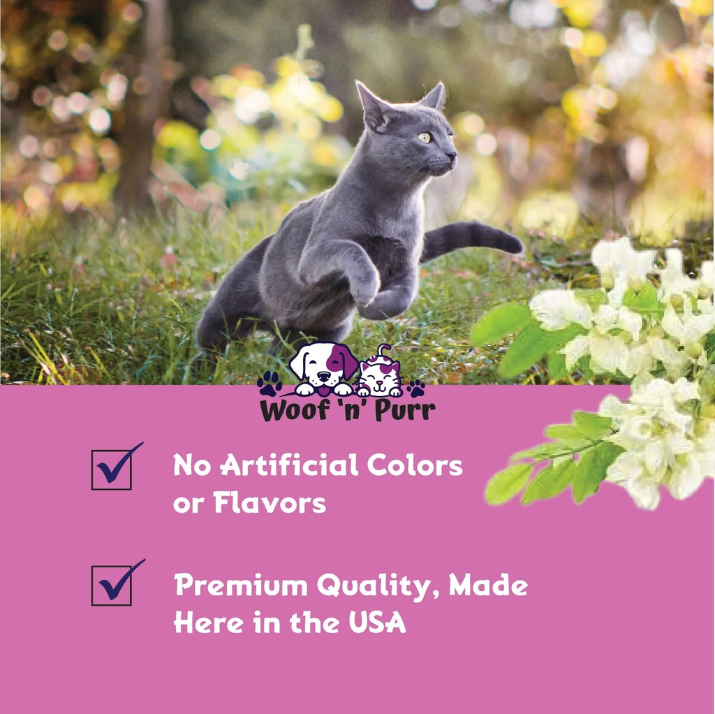 immune-support-for-cats-helps-to-support-4.jpg