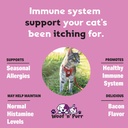immune-support-for-cats-helps-to-support-3.jpg