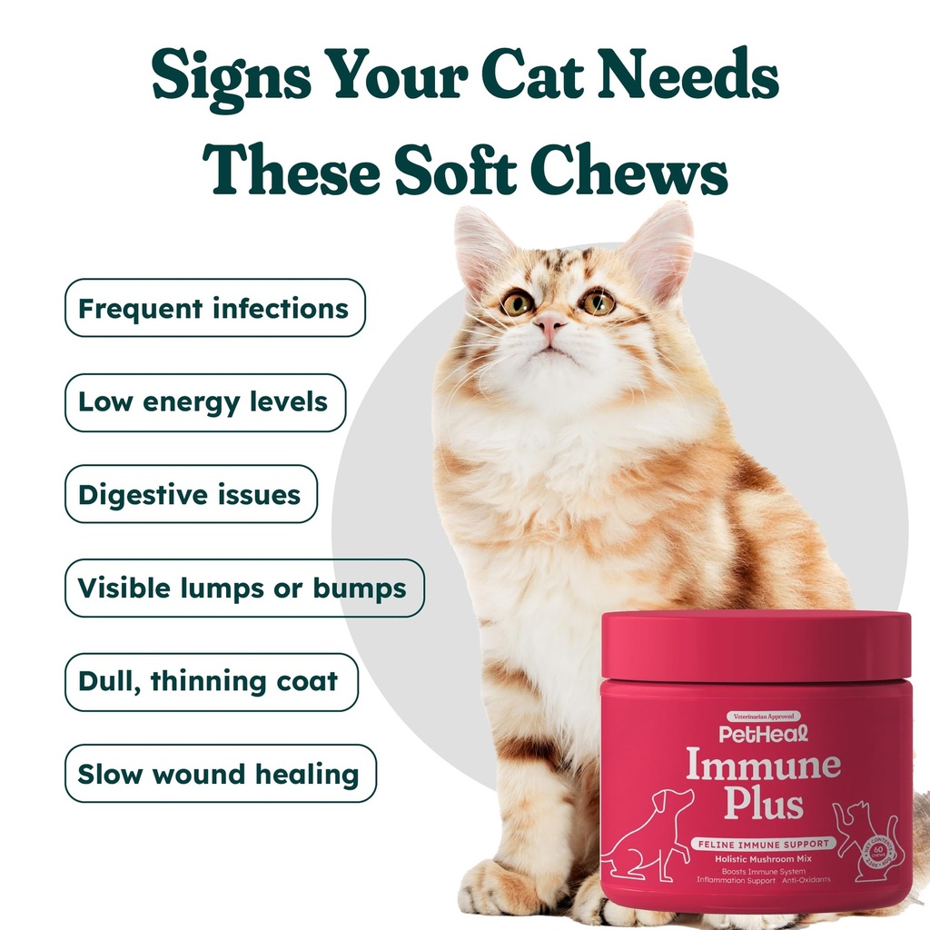 petheal-immune-plus-chews-for-cats-vet-r-2.jpg