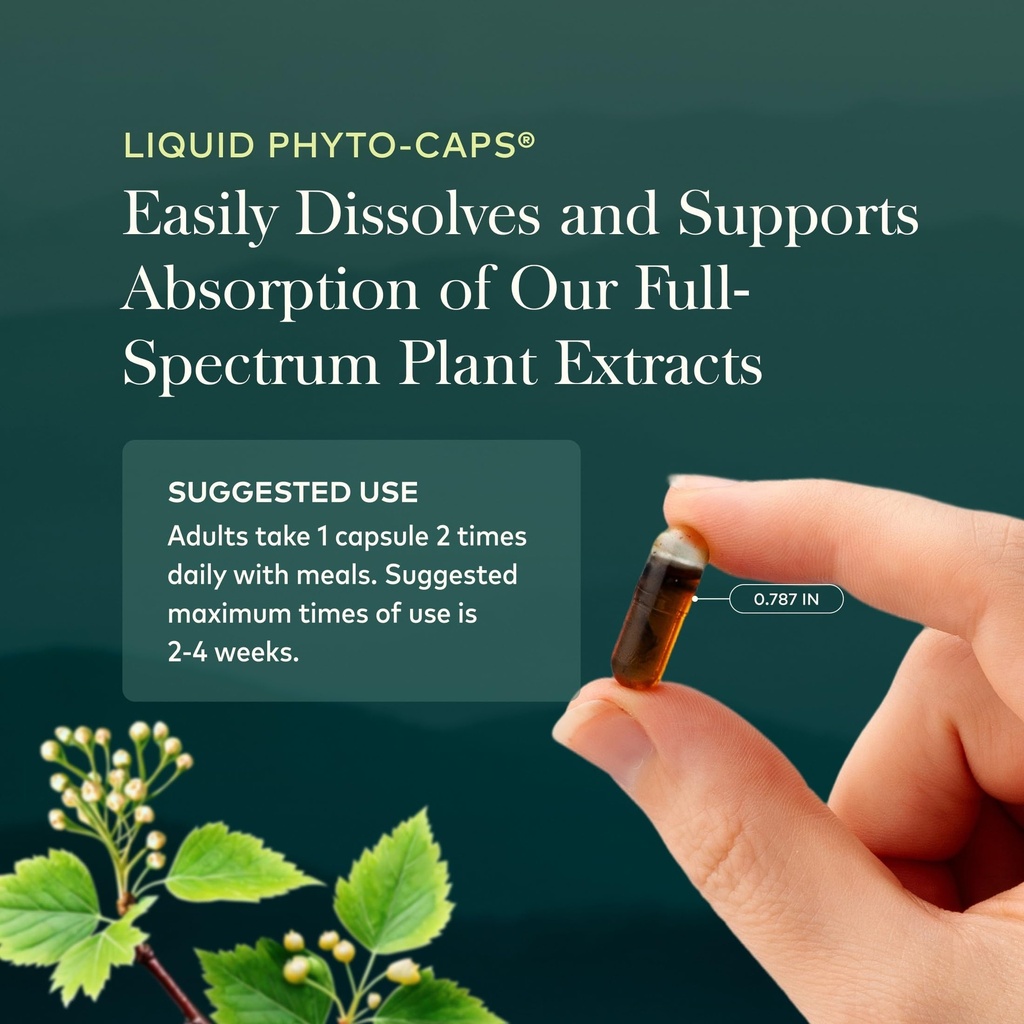 gaia-herbs-oil-of-oregano-capsules-230-m-6.jpg