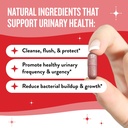 legendairy-milk-girl-s-gotta-go-uti-supp-3.jpg