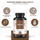 shilajit-capsules-high-strength-with-130-2.jpg