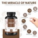 shilajit-capsules-high-strength-with-130-3.jpg