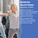 2-pack-berberine-gummies-1200mg-berberin-4.jpg