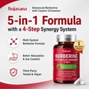 5-in-1-berberine-complex-500mg-with-ceyl-2.jpg