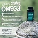 freshfield-omega-3-dha-supplements-algae-4.jpg