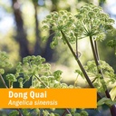 herb-pharm-dong-quai-liquid-extract-drop-5.jpg