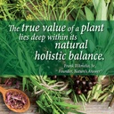 nature-s-answer-alcohol-free-liver-suppo-6.jpg