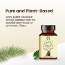 ayurvedashree-shilajit-extract-capsules--3.jpg