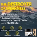 shilajit-resin-himalayan-shilajit-organi-6.jpg