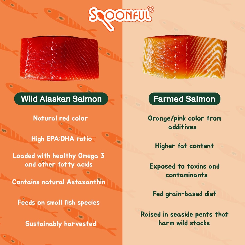 spoonful-salmon-fresh-100-natural-wild-c-6.jpg