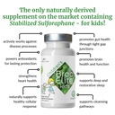 brocelite-mara-labs-kids-broccoli-supple-4.jpg