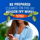 poison-ivy-wipes-on-the-go-cleansing-for-3.jpg