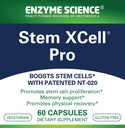 enzyme-science-stem-xcell-pro-stem-cell--2.jpg