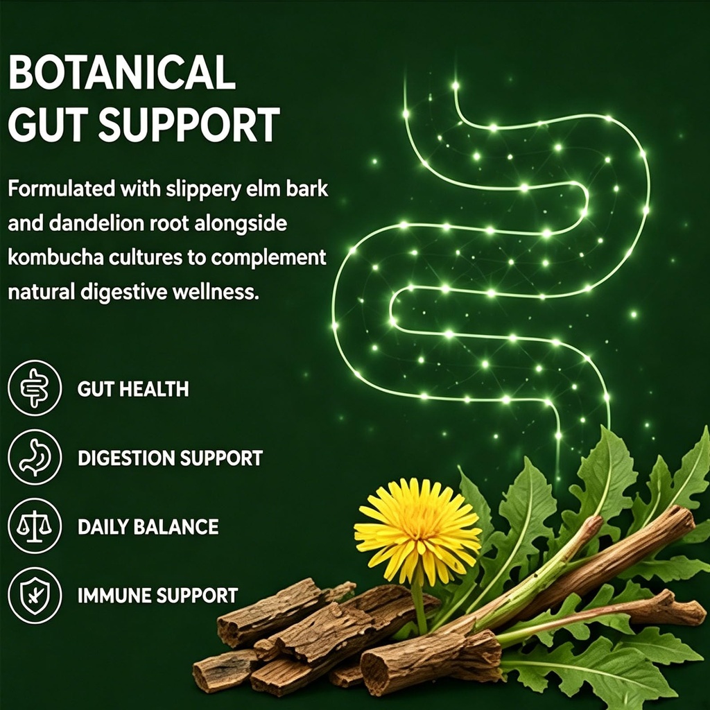 infuse-probiotic-kombucha-gummies-postbi-4.jpg