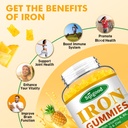 iron-gummies-for-women-men-vegan-iron-su-3.jpg