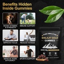 shilajit-gummies-pure-himalayan-shilajit-3.jpg