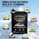 shilajit-gummies-shilajit-gold-gummies-f-3.jpg