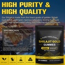 shilajit-gummies-pure-himalayan-natural--2.jpg