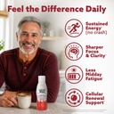 17oz-80mg-liquid-pqq-superior-highly-abs-3.jpg