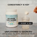 amandean-marine-collagen-duo-500g-contai-5.jpg