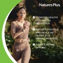 naturesplus-pro-longvida-curcumin-60-loz-3.jpg
