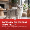 vetoquinol-renal-k-potassium-supplement--2.jpg