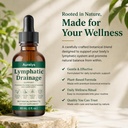 drenaje-linf-tico-lymphatic-drainage-dro-3.jpg