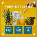 klass-vida-daily-hydration-pineapple-ele-5.jpg