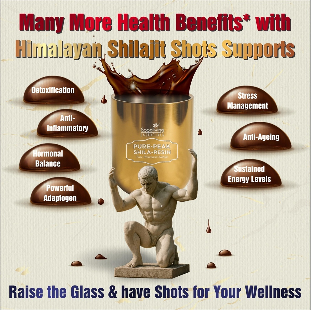 pure-himalayan-shilajit-resin-high-poten-6.jpg