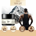 shilajit-resin-from-himalayan-mountains--2.jpg