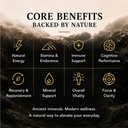 purified-shilajit-resin-himylayan-gold-g-4.jpg