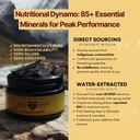shilaforce-shilajit-2-pack-pure-gold-gra-2.jpg
