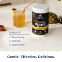 ancient-nutrition-organic-fiber-powder-p-3.jpg