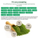z-natural-foods-organic-wheat-grass-juic-5.jpg