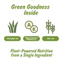 spice-profile-organic-wheatgrass-powder--4.jpg