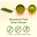 spice-profile-organic-wheatgrass-powder--3.jpg